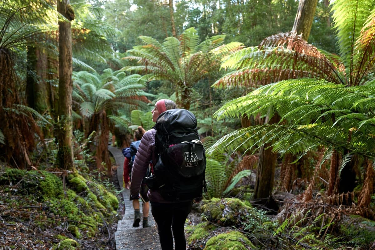 D'Aguilar National Park + Walkabout Creek 1
