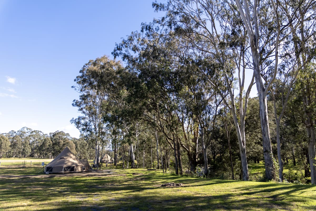 Gordon Country Camping Ground 2