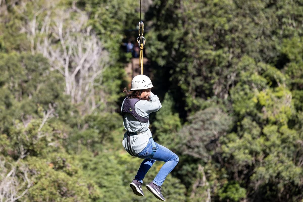O'Reilly's Rainforest Retreat + Lamington National Park 3