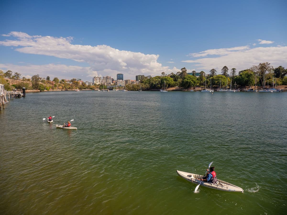 Riverlife Kayak on the Brisbane River 2