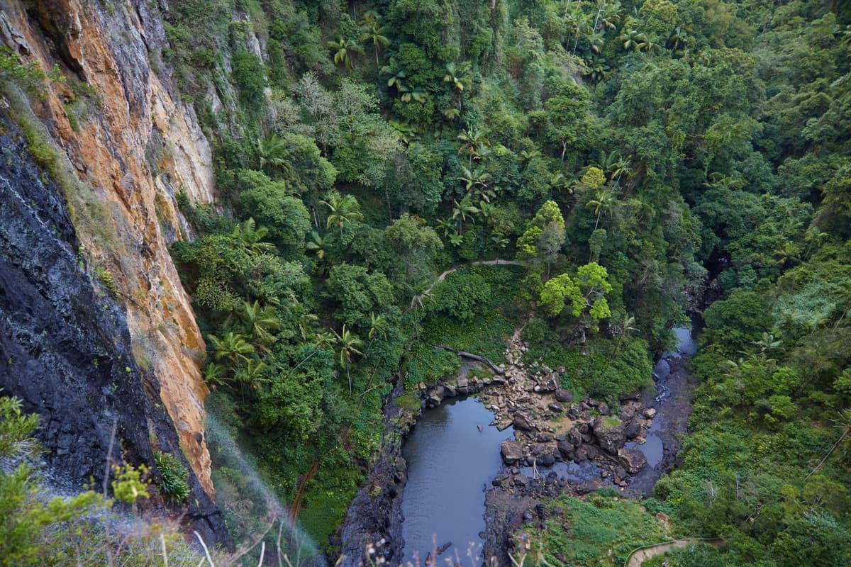 Springbrook National Park 2