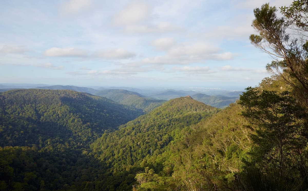 Springbrook National Park 1