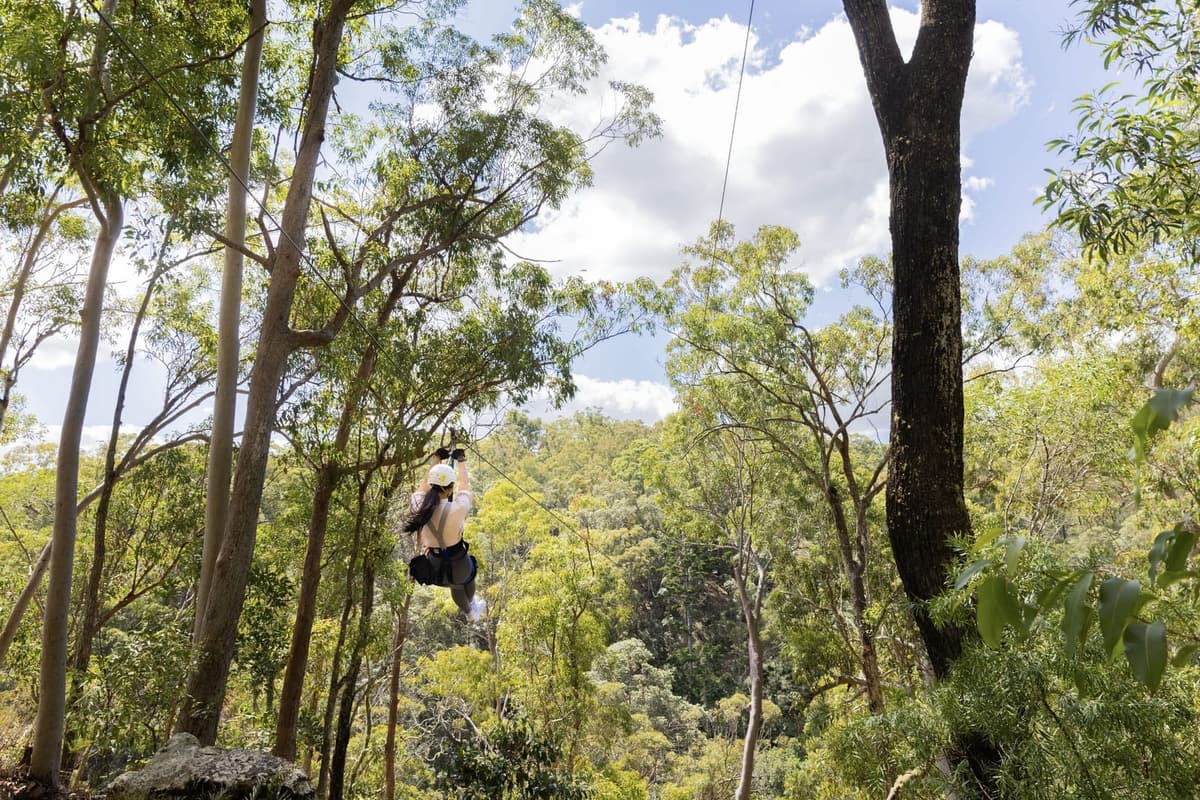 Tamborine Mountain 1